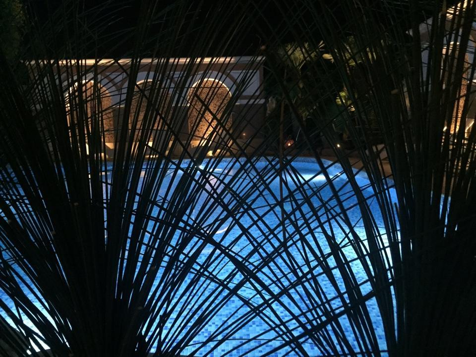 Bed and Breakfast Foglie D' Acqua Bisceglie Esterno foto