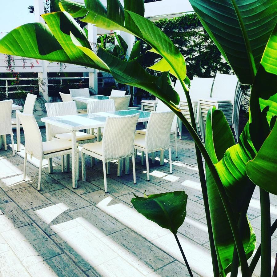 Bed and Breakfast Foglie D' Acqua Bisceglie Esterno foto