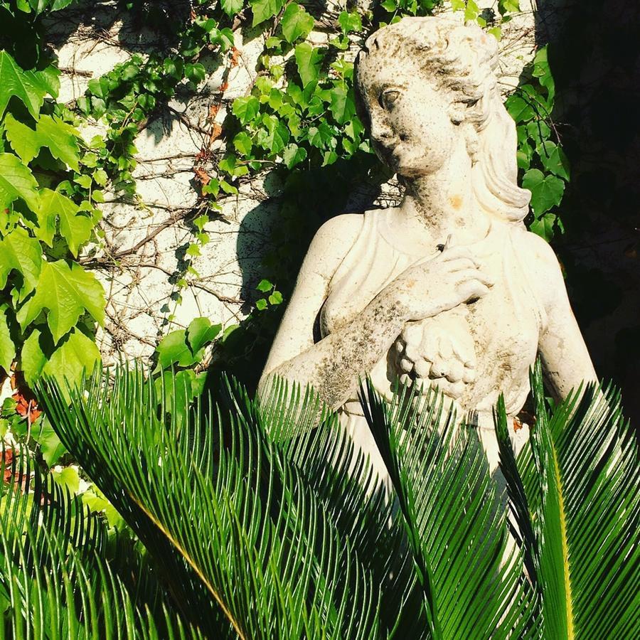 Bed and Breakfast Foglie D' Acqua Bisceglie Esterno foto